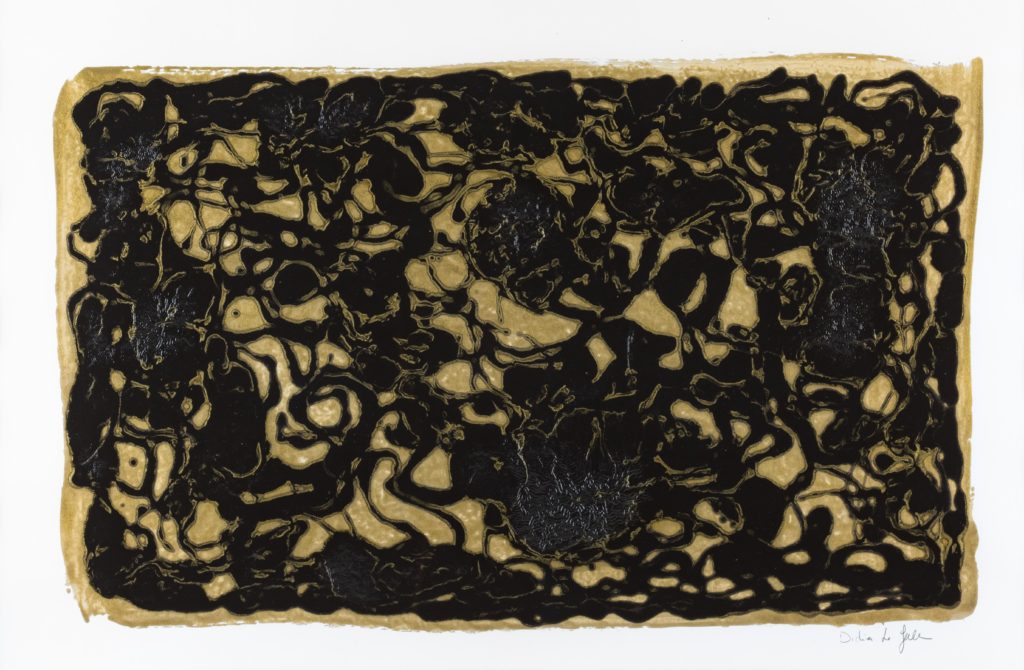 lumière noire Didier Le Gall